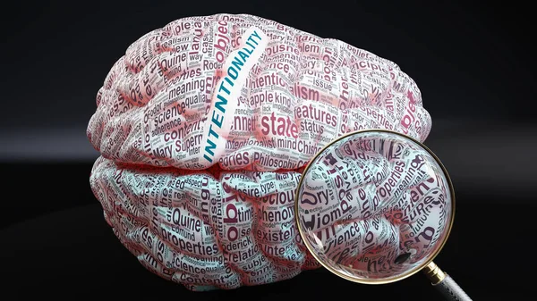 Intentionality Human Brain Concept Showing Hundreds Crucial Words Related Intentionality — Stock Photo, Image