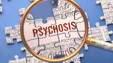 Karmaşık ve çoklu bir konu olan psikoz yakından inceleniyor. Psikoz, 3 boyutlu illüstrasyon hakkında düzinelerce hayati fikir ve kavramı tanımlayan eşleşen bulmaca parçaları olarak gösterilen karmaşıklık
