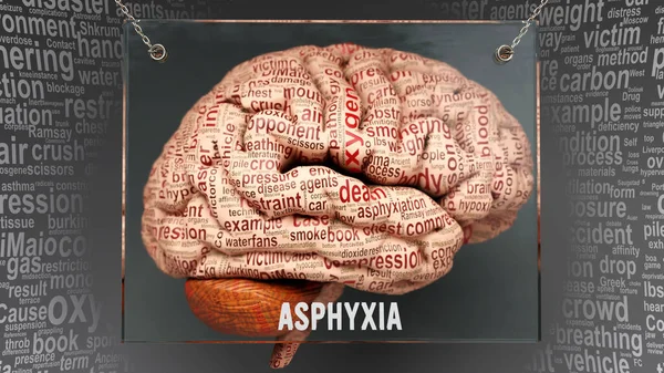 stock image Asphyxia in human brain - dozens of important terms describing Asphyxia properties and features painted over the brain cortex to symbolize Asphyxia connection with the mind.,3d illustration