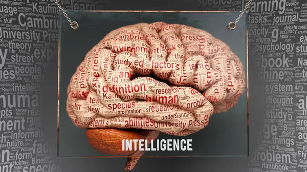 Intelligence Human Brain Dozens Important Terms Describing Intelligence Properties Painted — Stock Photo, Image