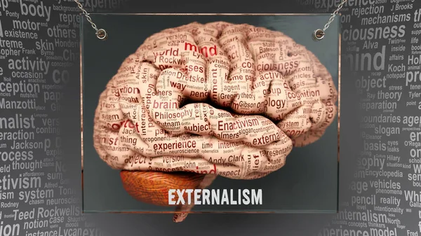 Externalismus Lidském Mozku Desítky Důležitých Pojmů Popisujících Vlastnosti Rysy Externalismu — Stock fotografie