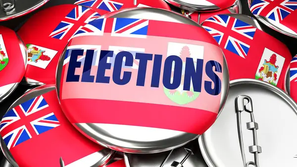 Bermuda Elections Dozens Pinback Buttons Flag Bermuda Word Elections Render — Photo