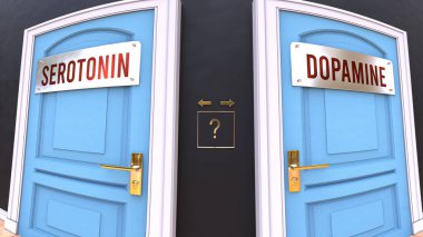 Serotonin or Dopamine - a choice. Two options to choose from represented by doors leading to different outcomes. Symbolizes decision to pick up either Serotonin or Dopamine.
