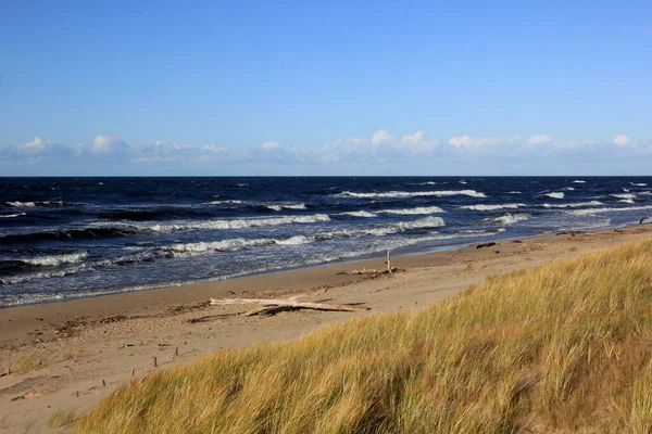 Θαλάσσιο Τοπίο Κατά Διάρκεια Μιας Καταιγίδας Μεγάλα Κύματα Carnikava Λετονία — Φωτογραφία Αρχείου