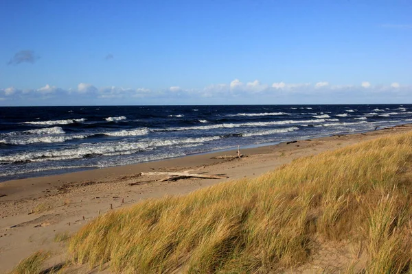 Море Під Час Шторму Великими Хвилями Карнікава Латвія Великі Сильні — стокове фото