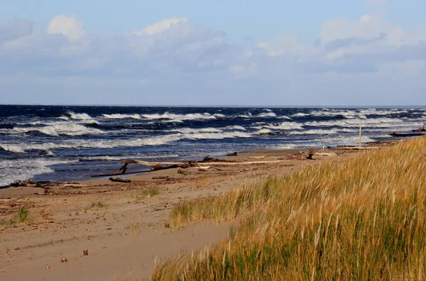 Seascape Durante Uma Tempestade Com Grandes Ondas Carnikava Letônia Ondas — Fotografia de Stock