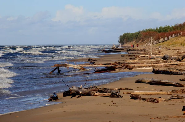 Море Під Час Шторму Великими Хвилями Карнікава Латвія Великі Сильні — стокове фото