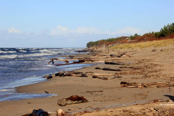 Seascape Durante Uma Tempestade Com Grandes Ondas Carnikava Letônia Ondas — Fotografia de Stock