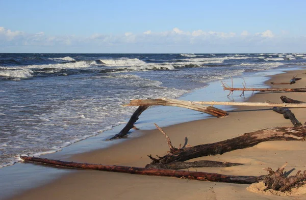 Büyük Dalgalı Bir Fırtına Sırasında Deniz Manzarası Letonya Carnikava Fırtına — Stok fotoğraf
