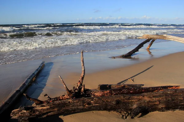 Büyük Dalgalı Bir Fırtına Sırasında Deniz Manzarası Letonya Carnikava Fırtına — Stok fotoğraf