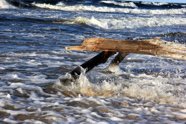 Büyük Dalgalı Bir Fırtına Sırasında Deniz Manzarası Letonya Carnikava Fırtına — Stok fotoğraf