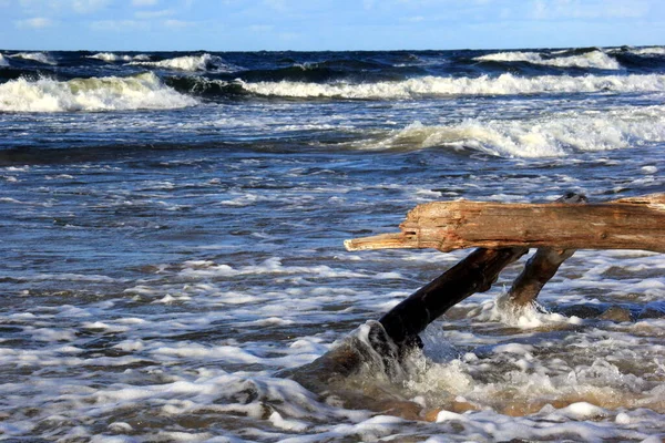 Seascape Durante Uma Tempestade Com Grandes Ondas Carnikava Letônia Ondas — Fotografia de Stock