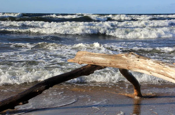 Море Під Час Шторму Великими Хвилями Карнікава Латвія Великі Сильні — стокове фото