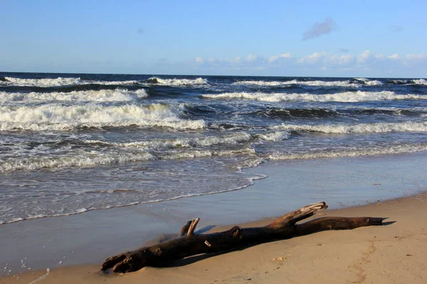 Seascape Durante Uma Tempestade Com Grandes Ondas Carnikava Letônia Ondas — Fotografia de Stock
