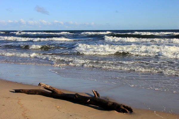 Море Під Час Шторму Великими Хвилями Карнікава Латвія Великі Сильні — стокове фото