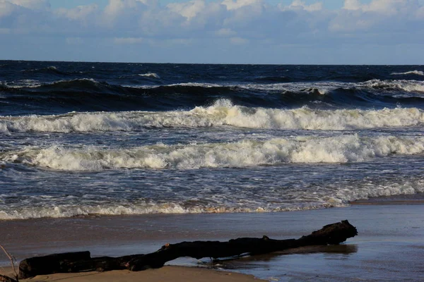 大浪风暴期间的海景 拉托维亚 卡尼卡瓦 风暴期间海浪汹涌汹涌 — 图库照片