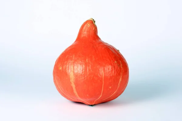 Ένα Φρέσκο Πορτοκαλί Κολοκύθα Απομονώθηκε Λευκό Φόντο — Φωτογραφία Αρχείου