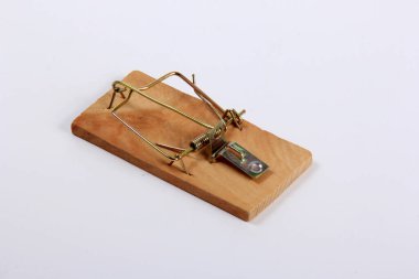 Beyaz arka planda tahta bir fare kapanı. Yem olmadan fare kapanı 