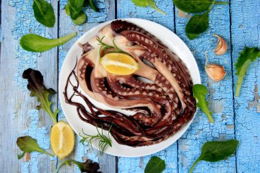 Limon, yeşil limon, biberiye ve marul yapraklarıyla süslenmiş beyaz bir tabakta çiğ ahtapot. Mavi arka plan. Üst görünüm.