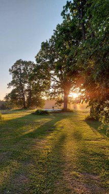 Beyaz bir masa örtüsü ve bir vazo çiçekli büyük bir gölün kıyısındaki büyük ağaçların altında yeşil bir çayırda duran büyük ahşap bir masa. Sarı günbatımı ışığında bir Yaz Gündönümü yemek masası.