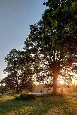 Beyaz bir masa örtüsü ve bir vazo çiçekli büyük bir gölün kıyısındaki büyük ağaçların altında yeşil bir çayırda duran büyük ahşap bir masa. Sarı günbatımı ışığında bir Yaz Gündönümü yemek masası.