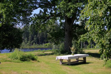 Beyaz bir masa örtüsü ve bir vazo çiçekli büyük bir gölün kıyısındaki büyük ağaçların altında yeşil bir çayırda duran büyük ahşap bir masa. Sarı günbatımı ışığında bir Yaz Gündönümü yemek masası.