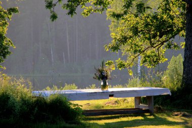 Beyaz bir masa örtüsü ve bir vazo çiçekli büyük bir gölün kıyısındaki büyük ağaçların altında yeşil bir çayırda duran büyük ahşap bir masa. Sarı günbatımı ışığında bir Yaz Gündönümü yemek masası.