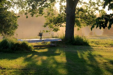 Beyaz bir masa örtüsü ve bir vazo çiçekli büyük bir gölün kıyısındaki büyük ağaçların altında yeşil bir çayırda duran büyük ahşap bir masa. Sarı günbatımı ışığında bir Yaz Gündönümü yemek masası.