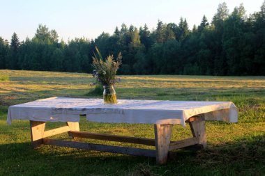 Beyaz bir masa örtüsü ve bir vazo çiçekli büyük bir gölün kıyısındaki büyük ağaçların altında yeşil bir çayırda duran büyük ahşap bir masa. Sarı günbatımı ışığında bir Yaz Gündönümü yemek masası.