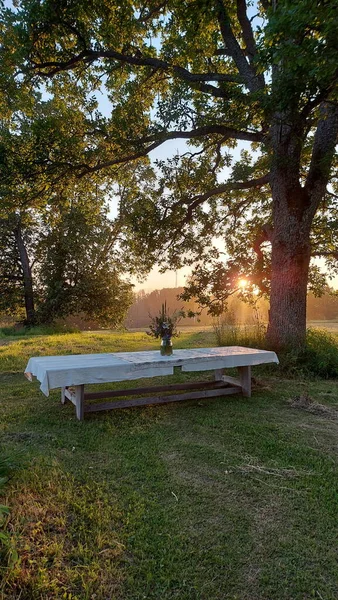 Large Wooden Table White Tablecloth Vase Meadow Flowers Stands Green — Fotografia de Stock