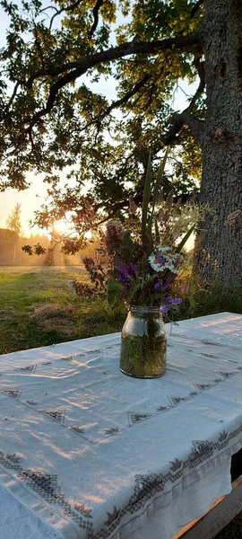 Large Wooden Table White Tablecloth Vase Meadow Flowers Stands Green — Fotografia de Stock