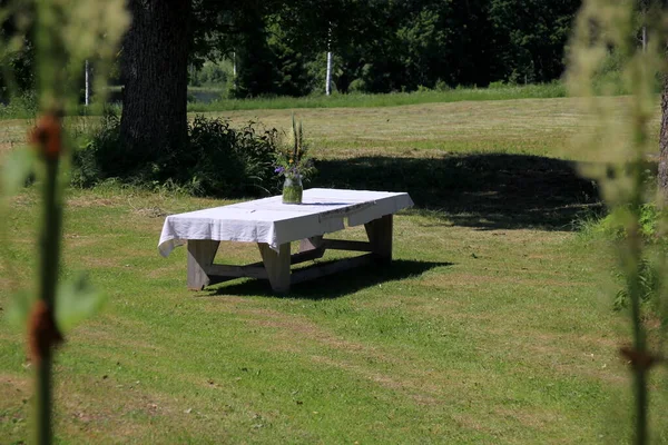 Large Wooden Table White Tablecloth Vase Meadow Flowers Stands Green — Fotografia de Stock