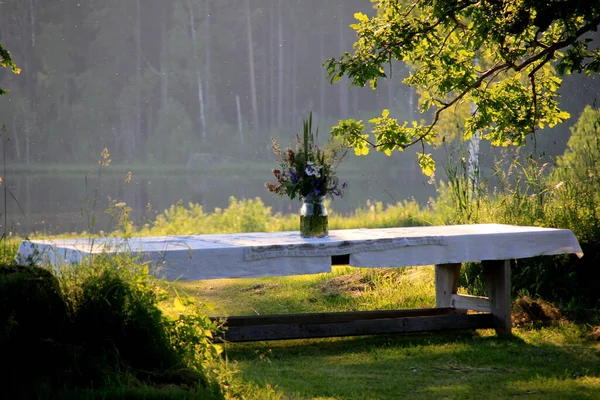湖滨的绿茵草地上 有一张巨大的木制桌子 上面有一张白色的桌布和一个草场花的花瓶 在黄昏时分 有一张夏至食物桌 — 图库照片