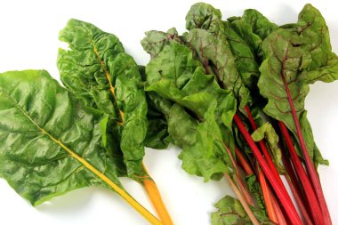 Fresh organic chard on a white background, Sweet beet leafs (mangold)
