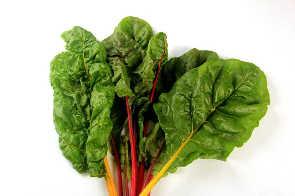 Fresh Organic Chard White Background Sweet Beet Leafs Mangold — Fotografia de Stock