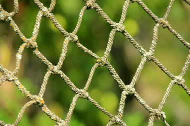 Close-up of an old net on a green blurred background, selective focus