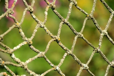 Close-up of an old net on a green blurred background, selective focus