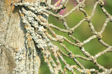 Close-up of an old net on a green blurred background, selective focus