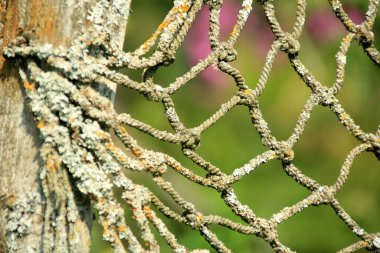 Close-up of an old net on a green blurred background, selective focus