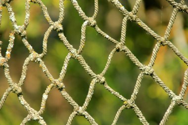 Close-up of an old net on a green blurred background, selective focus