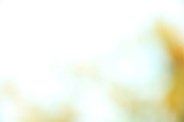 Yellow White Flower Blur Texture Background — 图库照片