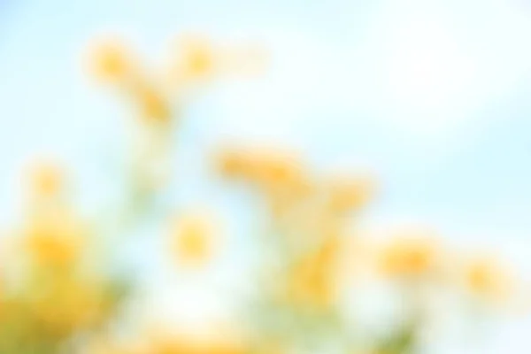 Yellow White Flower Blur Texture Background — Foto Stock