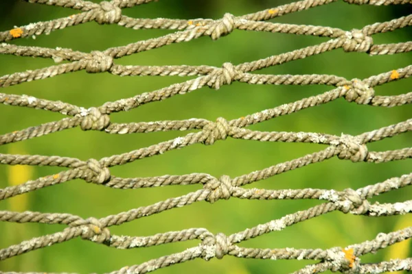 Close Old Net Green Blurred Background Selective Focus — Stock Photo, Image