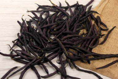 Purple Wax Snap Beans on the white background, Organic fresh beans