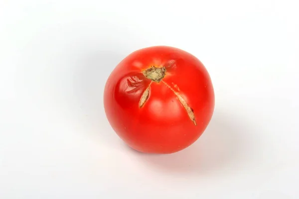 Tomate Estragado Fundo Branco Fungo Com Mofo Vegetais Tomates Podres — Fotografia de Stock