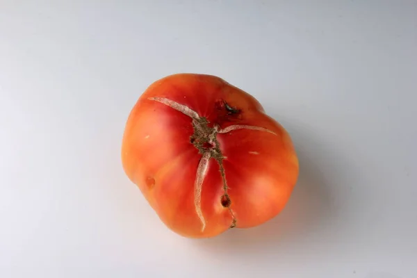 Tomates Mûres Avec Des Dommages Sur Fond Blanc — Photo