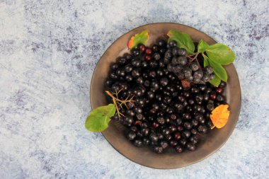 Kil tabakta taze siyah böğürtlen. Siyah Aronya