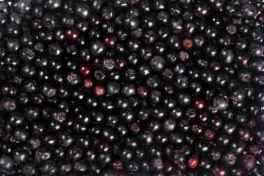 Background of fresh black chokeberry. Black aronia, black berry background clipart