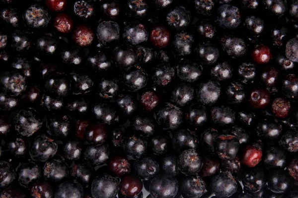 Latar Belakang Chokeberry Hitam Segar Black Aronia Latar Belakang Berry — Stok Foto