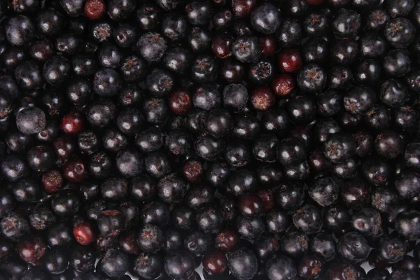 Background Fresh Black Chokeberry Black Aronia Black Berry Background — Stock Photo, Image